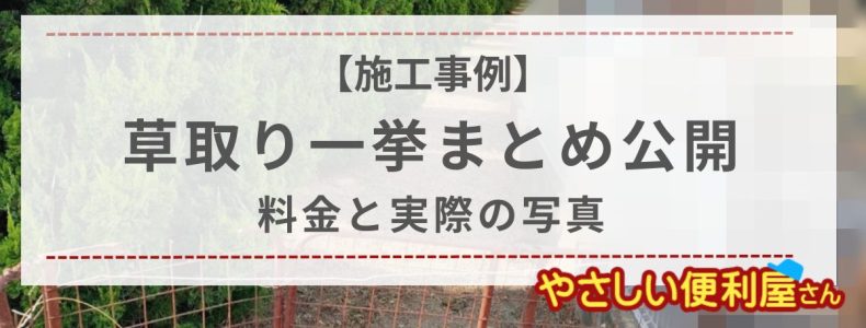 新潟市内・新発田市・村上での草取り・草刈りまとめ６例！事例写真・料金も掲載｜暮らしの困りごと、何でも解決「やさしい便利屋さん」